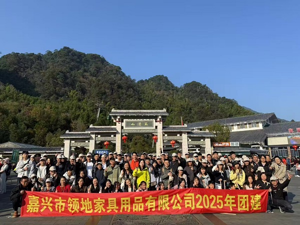 Costruzione della squadra